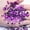 Dark Purple, variant on U8MO 1300pcs Mixed Size 3mm-10mm Acrylic Round Diamond Flatback Rhinestone Gems-Purple