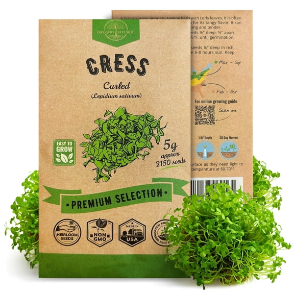 Organo Republic Curled Cress Seeds – 2,150  Non-GMO Heirloom Seeds, 5G Packet for Planting Greens Indoors & Outdoors, Spicy Salad Green for Home Garden