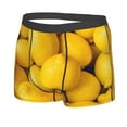 thumbnail image 2 of Fotbe Ripe Yellow Lemon Men’s Total Support Pouch Boxer Briefs, X-Temp Cooling, Moisture-Wicking Underwear, Regular, Long-leg and Trunk-, 2 of 9