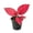 1 Plant, variant on Aglaonema Lucky Red - 1 Live Starter Plant - Aglaonema - Bold Beautiful Colorful Foliage Indoor Houseplant