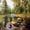 Tan, variant on Manfei Wild Mallard Duck Blackout Curtains,Rustic Bird Window Curtains Pack of 2 (38x45 Each)