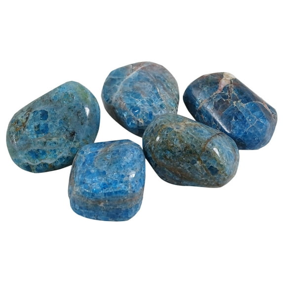Harmonize Apatite Tumbled Assorted Size Natural Reiki Healing Stones