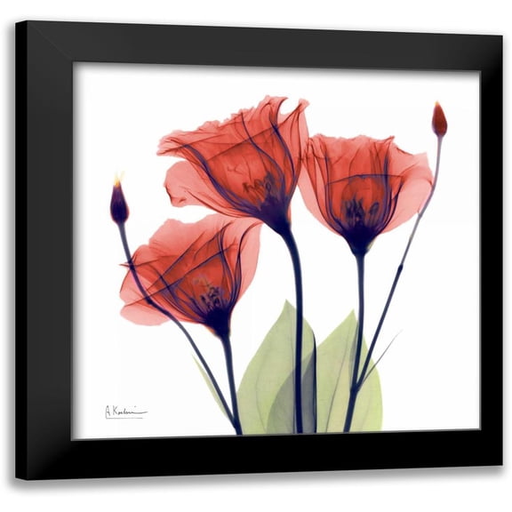 Koetsier, Albert 12x12 Black Modern Framed Museum Art Print Titled - Gentian Red