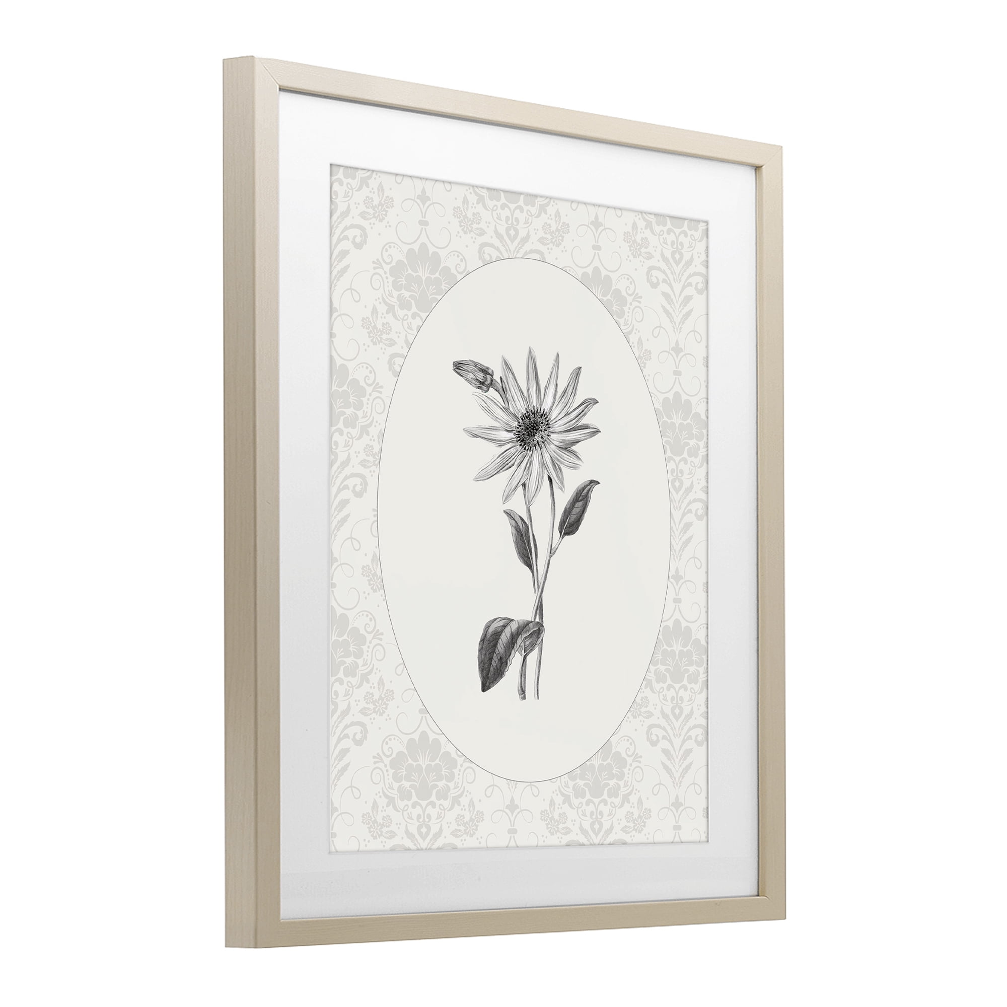 Stupell Industries Antique Botanical & Lace Birch Framed Print Under Glass, design by CAD Designs