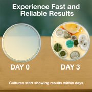 Amazing Bacteria Science Kit - Prepoured Agar Plates Kit - Science Project Kit - Outstanding Performance - Science Project Experiment Ebook Included - Have Fun Learning Microbiology Now
