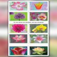 thumbnail image 1 of Estampilla de flores de loto de jardín para estampilla de celebración de invitación Ndcxsfigh Nuevos Originales, 1 of 1