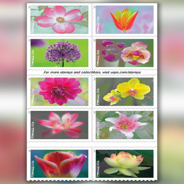 20 piezas/hoja de flores de loto de jardín para siempre, sellos postales de EE. UU. para invitación Likrtyny Para estrenar