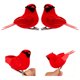 thumbnail image 4 of 10 piezas de pájaros cardenal rojos de Navidad con clip para decoración de árbol de Navidad., 4 of 6