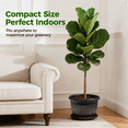 thumbnail image 2 of GENTINGBRO Brown Plastic Plant Pots 3 pcs Flower Pots for Indoor Outdoor with Drainage Holes Saucer, 2 of 6