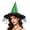 Green*, variant on RUTAYY Women's Halloween Witch Hat Spider Web Print Star Mesh Veil Wide Brim Party Hats Orange