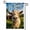 C, variant on XaaKee Garden Flag, Animal Photography Goat Spring Garden Flag, Double-Sided High-Quality White Linen Small Garden Flags, 12x18Inch
