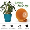 thumbnail image 6 of Keyrank Plant Pots 6 Inch Self Watering Pots, Set of 6 Plastic Planters with Drainage Holes and Saucers, Plastic Flower Pots, Nursery Planting Pot for Indoor Outdoor Plants, 6 of 6