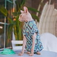 thumbnail image 4 of UOSIA Sphynx Cat Shirt Sun Hat Set Cute Soft Stretchy Summer Hairless Cat Vest Clothes, 4 of 6