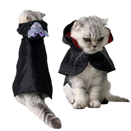 halloween pet costume legendog