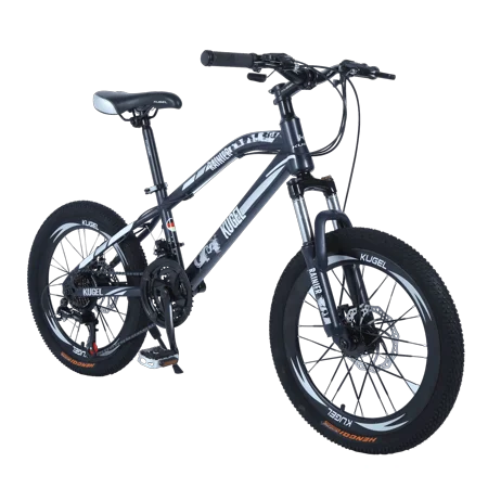 Kids RAINIER MODEL 20 STEEL MTB Bike Your Young Adventurer the Great Outdoors