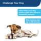thumbnail image 4 of Juguete Masticable PetSafe Bristle Bone para Perros, 4 of 6