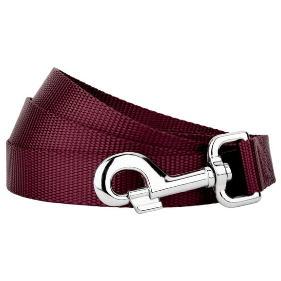 Country Brook Petz® 5/8 inch Nylon Dog Leash - Burgundy, 4 Foot