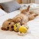 thumbnail image 4 of Juguetes De Plástico Juguetes masticables para perros, 1 paquete, muñecos de peluche con chirriador para jugar de forma interactiva y aliviar la dentición (amarillo) JASKFLY, 4 of 8