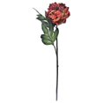 thumbnail image 1 of Vickerman FM181803 Tige de Pivoine Orange de 25 Po, 1 of 1