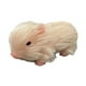 thumbnail image 2 of Juguete de cerdo de silicona para recién nacido, muñeco de cerdo, accesorio de fotografía, Mini cerdito realista hecho a mano, adorno de minicerdos, 2 of 8
