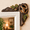 🐿 Squirrel, variant on Woodland Animal Door Topper, Squirrel Owl Wooden Door Sign, 1 Piece Choose from 6 Designs or 2-Piece Owl & Chipmunk Set or 6-Piece Full Collection, Rustic Door Frame Decor Gift