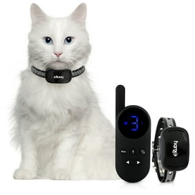 Exuby Small Cat Shock Collar W Remote Designed For Training Cats Prevents Unwanted Meowing Scratching Roaming Sound Vibration Shock Modes 9 Intensity Levels Waterproof Walmart Com Walmart Com