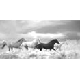 thumbnail image 2 of Murdock, Ramona 18x11 Black Ornate Wood Framed with Double Matting Museum Art Print Titled - Mustang Herd I BW, 2 of 4