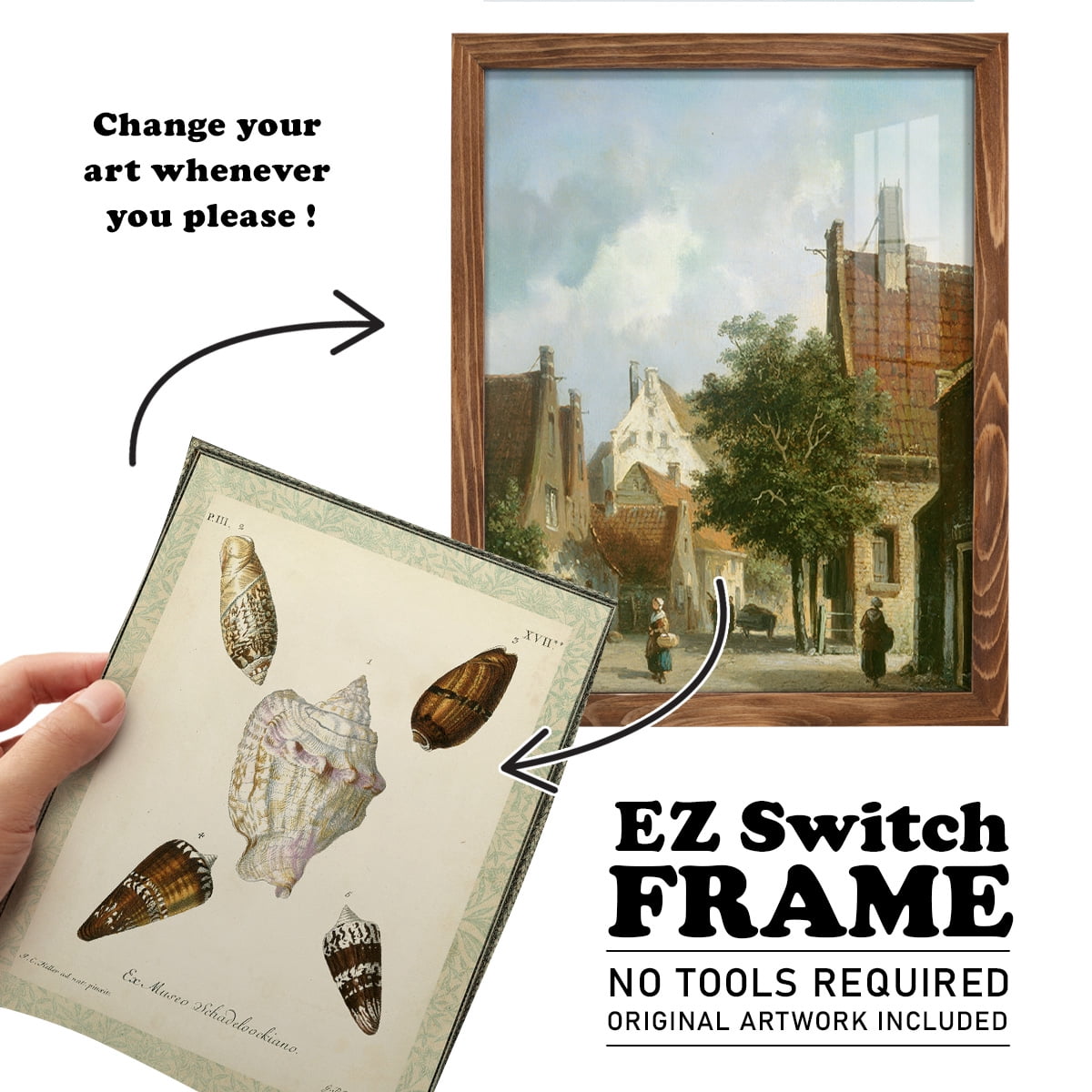 Bookplate Shells IV - Framed Print w/glass - Walnut