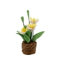 thumbnail image 1 of DIY Mini House Miniature Flower Plant Ceramic Pots Garden Decorative Accessories, 1 of 5