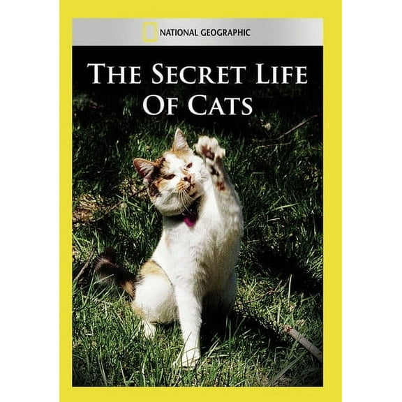 Secret Life of Cats (DVD), National Geographic, Documentary