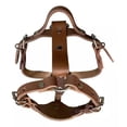 thumbnail image 2 of Pechera Y Correa De Piel Ajustable Perro Grande De Fuerza, 2 of 3