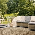 thumbnail image 4 of SAFAVIEH Beach House Stanice Medallion Indoor/Outdoor Area Rug, Cream/Beige, 6'7" x 9'2", 4 of 8