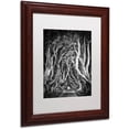 thumbnail image 2 of Trademark Fine Art "Zig Zag Nation" Canvas Art by Philippe Sainte-Laudy, White Matte, Wood Frame, 2 of 4