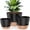 Black, variant on 5 Pack Self Watering Plant Pots, 10/9/8/7.5/7 Inch Large Plastic Planters with Drainage Holes, Water Level Indicator & Deep Reservoir, Flower Pots for Indoor Outdoor Garden Plants(Green)