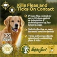 thumbnail image 6 of Happy Jack Paracide Flea and Tick Shampoo for Dogs, Cats, Ferrets and Horses, 8 oz, 6 of 10