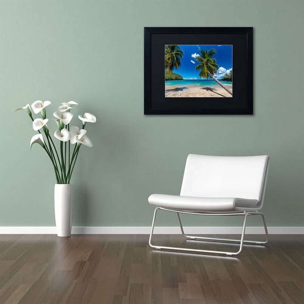 Trademark Fine Art "Martinique" Canvas Art by Mathieu Rivrin, Black Matte, Black Frame