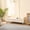 Beige, variant on Velvet Upholstered Bench with Storage | Can Be Used as Windowsill Stool, Solid Wood and Plywood Frame
