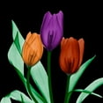 thumbnail image 2 of Koetsier, Albert 26x26 Black Ornate Wood Framed with Double Matting Museum Art Print Titled - Jeweled Tulips 3, 2 of 4