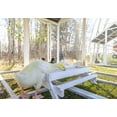 thumbnail image 6 of Zylina Modern Duck Barn - Duck Coop, 6 of 9