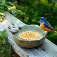 thumbnail image 3 of FNNMNNR Bird Bath Creative Bird Feeder Bird Bowl Ceramic Water Bath Bird Bath Feeding Station Garden Decoration, 3 of 8