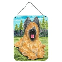 Briard Wall or Door Hanging Prints