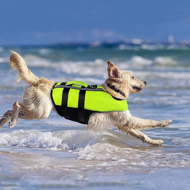 Sauvetage Chien Gilet De SÃ©curitÃ© Vert Gilet De Sauvetage Pour