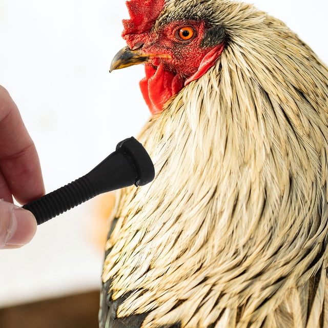 UPOUART 10Ud Varillas De Pluma Para Máquina De Y Pavo Accesorio Eficaz Diario