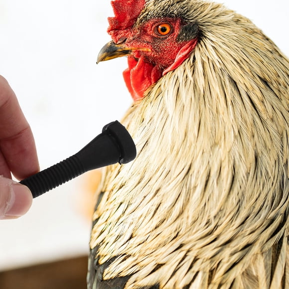 UPOUART 10Ud Varillas De Pluma Para Máquina De Y Pavo Accesorio Eficaz Diario