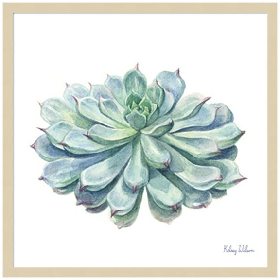 Amanti Art Single Succulents I Wood Framed Wall Art Print