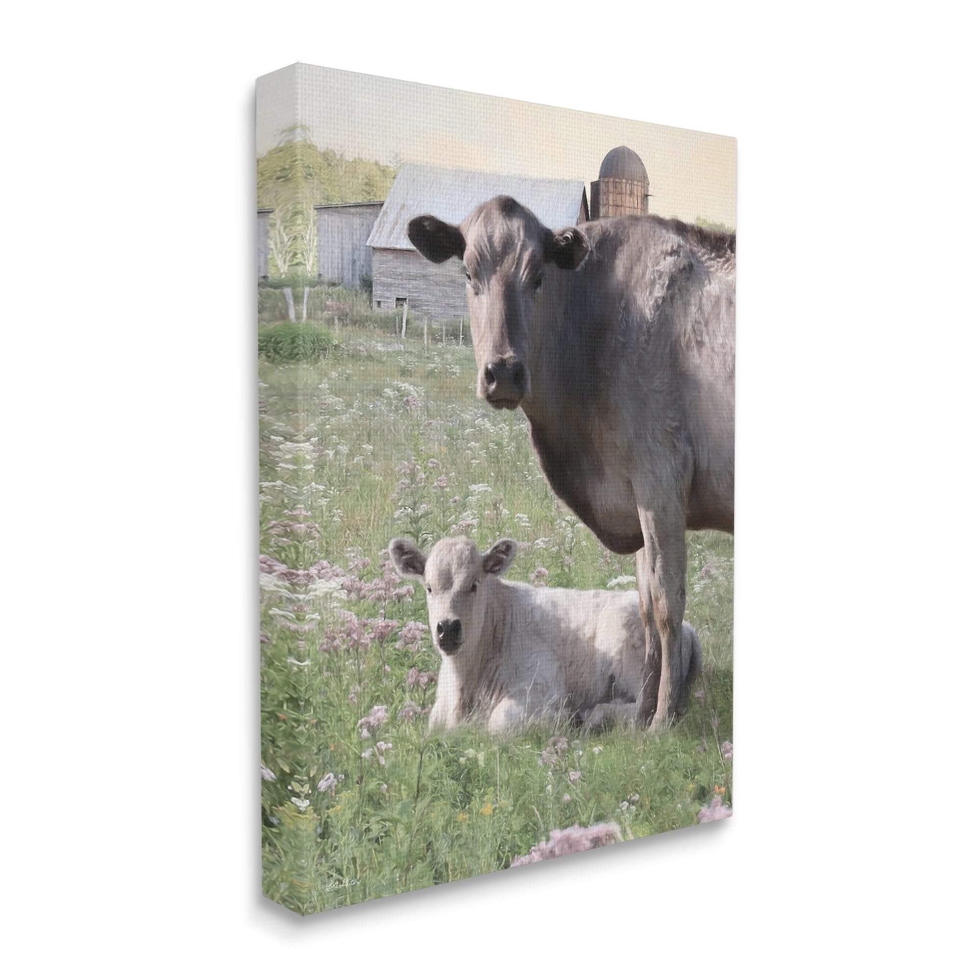 Stupell Country Cattle & Calf Farm Meadow Animals & Insects Photography Gallery Wrapped Canvas Print Wall Art