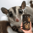 thumbnail image 6 of "Also Me" Design Custom Pet iPhone 17 Case – 4 Colors & 4 Patterns | YingMart Personalized Pet Portrait Protective Cover for Dog Lovers (DarkBrown, iPhone17Air, Style3), 6 of 116