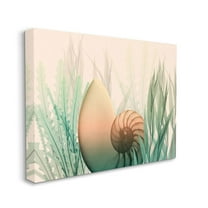 Stupell Home Décor Ocean Seashell Seaweed Collage Design Canvas Wall Art by Albert Koetsier
