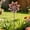 Red#18125, variant on Uklsqma Garden Wind Spinner Plug-In Flower Decoration, Iron Windmill Stake with Crystal Beads, Red/Green, Waterproof Outdoor Yard Courtyard Decor, 95 x 24 x 4 cm