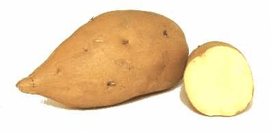 White Sweet Potatoes
